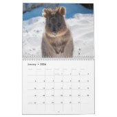 Australië 2025 Wildlife Animal Photo Kalender (Jan 2026)