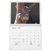 Australië - Agenda 2020 Kalender (Feb 2027)