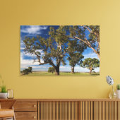 Australië, Barossa Valley, Mount Pleasant Canvas Afdruk (Insitu (Woonkamer))