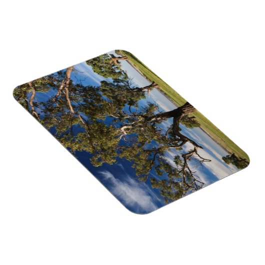 Australië, Barossa Valley, Mount Pleasant Magneet (Rechterzijde)