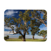 Australië, Barossa Valley, Mount Pleasant Magneet (Horizontaal)