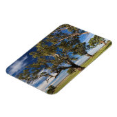 Australië, Barossa Valley, Mount Pleasant Magneet (Linkerzijde)