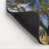 Australië, Barossa Valley, Mount Pleasant Muismat (Hoek)