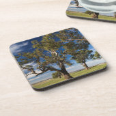 Australië, Barossa Valley, Mount Pleasant Onderzetter (Linkerzijde)