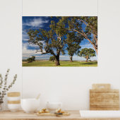 Australië, Barossa Valley, Mount Pleasant Poster (Keuken)