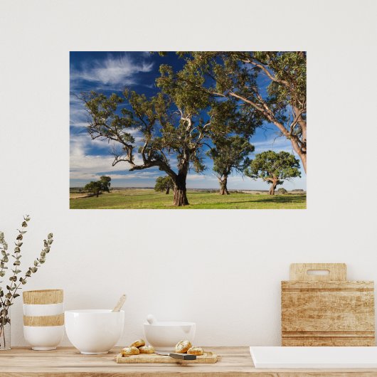 Australië, Barossa Valley, Mount Pleasant Poster (Keuken)