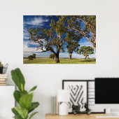 Australië, Barossa Valley, Mount Pleasant Poster (Thuiskantoor)