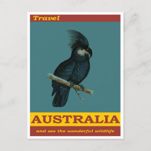 Australië Black Cockatau Bird Vintage Revel Briefkaart