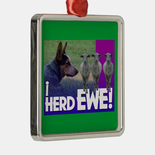 AUSTRALIË CATTLE DOG ORNAMENT I HERD EWE (Rechts)