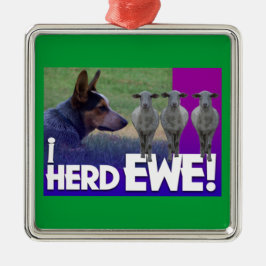 AUSTRALIË CATTLE DOG ORNAMENT I HERD EWE