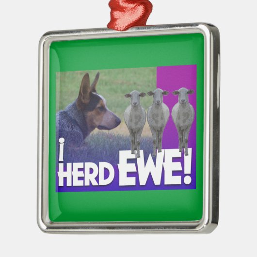 AUSTRALIË CATTLE DOG ORNAMENT I HERD EWE (Links)
