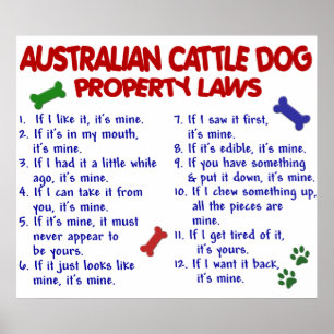 AUSTRALIË CATTLE DOG PL2 POSTER