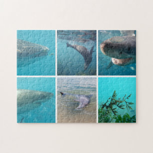 Australië Dieren Onderwater Fotocollage Kinder Legpuzzel
