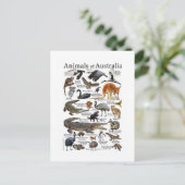 Australië Dierenkaart Briefkaart (Staand voorkant)