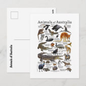 Australië Dierenkaart Briefkaart (Voorkant / Achterkant)