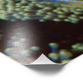 Australië, Great Barrier Reef, Anemonefish Foto Afdruk (Hoek)