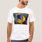 Australië, Great Barrier Reef, Anemonefish T-shirt (Voorkant)