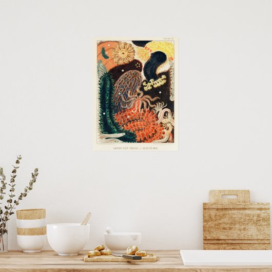 Australië, Great Barrier Reef  art poster (Keuken)