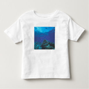 Australië, Great Barrier Reef. Paars Kinder Shirts