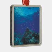 Australië, Great Barrier Reef. Paars Metalen Ornament (Rechts)