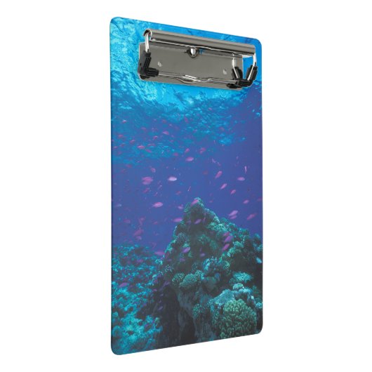 Australië, Great Barrier Reef. Paars Mini Klembord (Schuin)