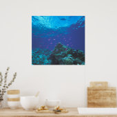 Australië, Great Barrier Reef. Paars Poster (Keuken)