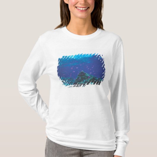 Australië, Great Barrier Reef. Paars T-shirt (Voorkant)