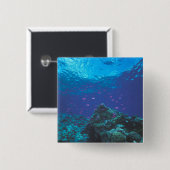 Australië, Great Barrier Reef. Paars Vierkante Button 5,1 Cm (Voorkant /achterkant)
