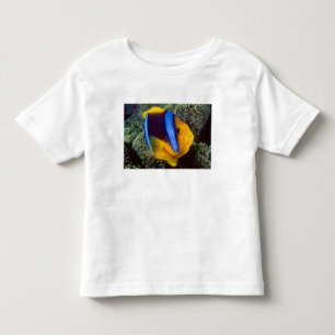 Australië, Groot Barrièrerif, Anemoonvis Kinder Shirts