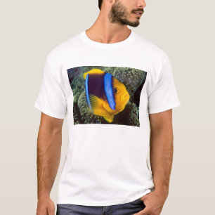 Australië, Groot Barrièrerif, Anemoonvis T-shirt