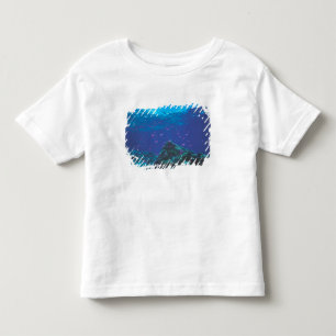 Australië, Groot Barrièrerif. Zwermende paarse Kinder Shirts