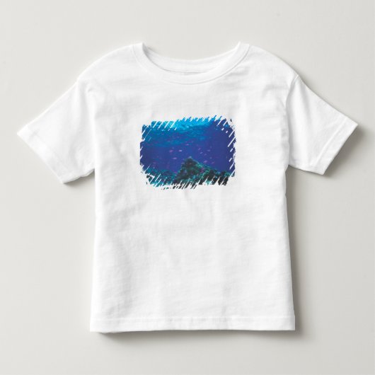 Australië, Groot Barrièrerif. Zwermende paarse Kinder Shirts (Voorkant)
