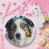 australië herder blauwe merle 3 papieren bordje (Feest)