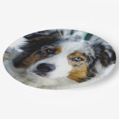 australië herder blauwe merle 3 papieren bordje (Gekanteld)