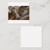 australië herder rode merle slaapt notitiekaartje (Voorkant / Achterkant)