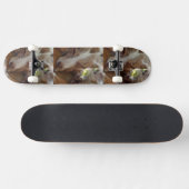 australië herder rode merle slaapt persoonlijk skateboard (Horizontaal)