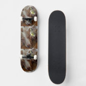 australië herder rode merle slaapt persoonlijk skateboard (Voorkant)
