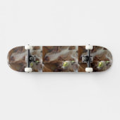 australië herder rode merle slaapt persoonlijk skateboard (Horizontaal)