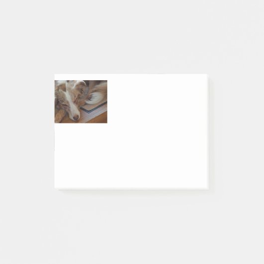 australië herder rode merle slaapt post-it® notes (Voorkant)