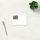 australië herder rode merle slaapt post-it® notes (Kantoor)