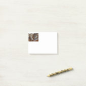 australië herder rode merle slaapt post-it® notes (Op bureau)