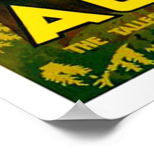 Australië, hoge bomen van Marysville, Victoria Poster (Hoek)