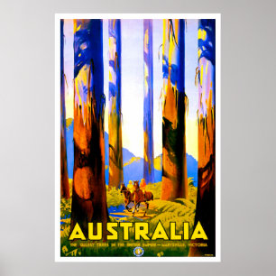 Australië, hoge bomen van Marysville, Victoria Poster