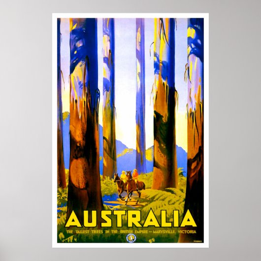 Australië, hoge bomen van Marysville, Victoria Poster (Voorkant)