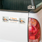 Australië - Ik hou van NUMBATS - Wildlife - Natuur Bumpersticker (Op Truck)