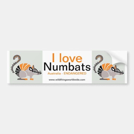 Australië - Ik hou van NUMBATS - Wildlife - Natuur Bumpersticker (Voorkant)