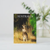 Australië Kangaroo Briefkaart (Staand voorkant)