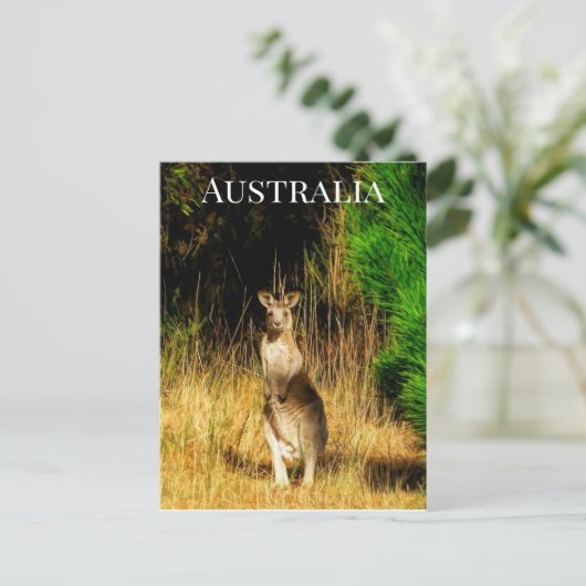 Australië Kangaroo Briefkaart (Staand voorkant)