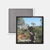 Australië - Kangaroo (Magnet) Magneet (Voorkant / Achterkant)