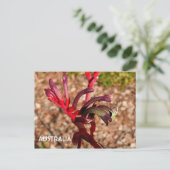 Australië: Kangaroo Paw bloem 2 Briefkaart (Staand voorkant)